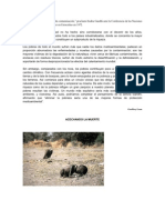 La Pobreza Es La Peor Forma de Contaminación