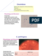 Clostridum