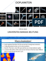 Universitas Bangka Belitung: Fitri Sil Valen