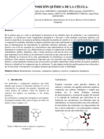 Informe Composición Quimica de La Celula