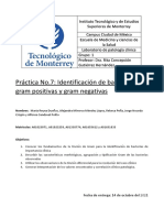 Práctica 7 Identificación de Bacterias Gram (+) y Gram (-)