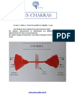 Les Chakras Présentation Gratuite