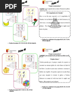 Fichas - Grupos Consonánticos Con L