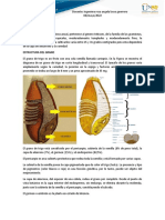 Pre Informe Componente Practico