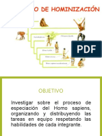 Proceso de Hominizacion