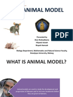 Animal Model