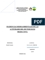 Incidencias Medioambientales de Las Actividades Del Sector Socio Productivo