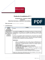 Derechos Humanos y Derecho Comunitario - Producto Académico I