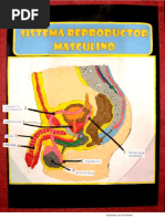 Maqueta-Sistema Reproductor-Rodrigo Lizarzaburu