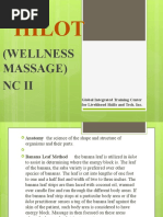 Hilot: (Wellness Massage) NC Ii