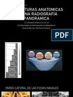 Estructuras Anatomicas en Una Radiografia Panoramica