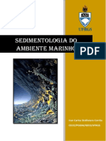 Sedimentologia Do Ambiente Marinho