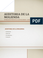 04.procedimientos y Parametros para Auditoria de Molienda