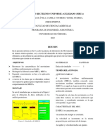 Informe de Laboratorio - Movimiento Rectilineo Uniformemente Acelerado