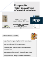 Echographie de La Région Épigastrique Pancréas Et Vaisseaux Abdominaux PR Céline Savoye-Collet Imagerie Médicale CHU Rouen