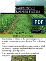 Management of Intercropping System