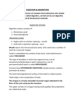 Digestion & Absorption Notes