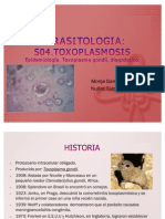 S04 Toxoplasmosis