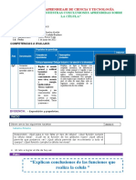 1 de Junio CONCLUSIONES APRENDIDAS DE LA CELULA CIENCIA Y TECNOLOGIA 5°