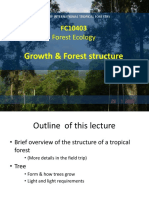 Lecture 4 Forest Growth 2021