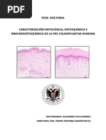 Tesis Doctoral: Doctorando: Alejandro Vela Romera Directora: Dra. Ingrid Johanna Garzón Bello