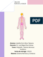 Infografía - Sistema Nervioso Periférico