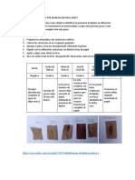 Procedimiento Lipidos