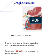 Respiracao Celular e Fermentacao