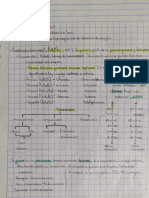 Glúcidos y Carbohidratos