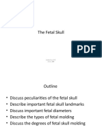 The Fetal Skull: Asheber Gaym M.D. January 2009