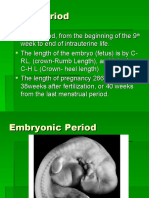 Fetal Period