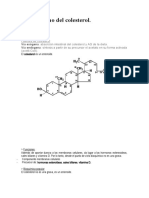 Metabolismo Del Colesterol