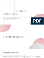 Aula 13 - Atenção e Funções Executivas