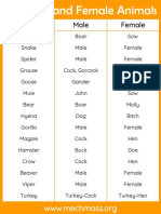 Male and Female Animals