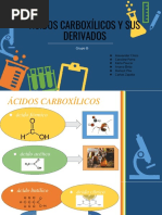 Ácidos Carboxílicos y Sus Derivados (Grupos B)