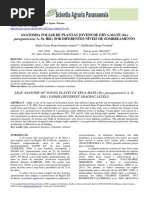 Anatomia Foliar de Plantas Jovens de Erva-Mate (Ilex: Paraguariensis A. St. Hill.) SOB DIFERENTES NÍVEIS DE SOMBREAMENTO