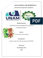 Endonucleasas de Restricción Utilizadas en Biotecnología-Flavia Bardales Aragón