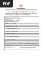 Formatos Modelos para Las Auditorias Internas Del SGI