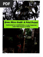 Green Micro Credit Report