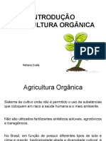 Agricultura Orgc3a2nica Aula 1 1