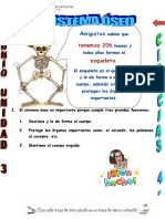 El Sistema Óseo para 4 Grado de Primaria