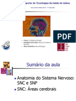 Anatomia Do Sistema Nervoso Central - Parte 1