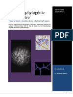 Cours de Phylognie Molculaire