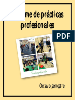 Informe de Prácticas Profesionales