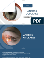 Anexos Oculares