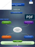 Droit Des Sociétés - Schématisé (Version Originale)