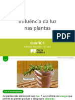 Influencia Da Luz Nas Plantas