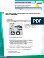 1° Eval de Diagnostico 3 Comp - Est.