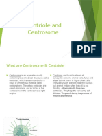 Centriole and Centrosome