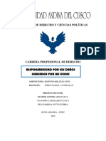 Tema 6. - Responsabilidad Por Daños Causados Por Las Cosas - Monografia